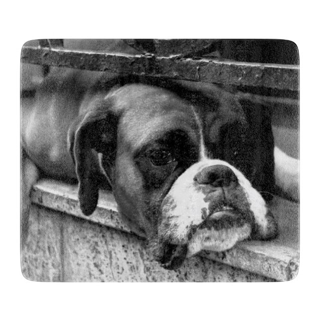 Boxer Dog On Windowsill cbm Cutting Board (Front)