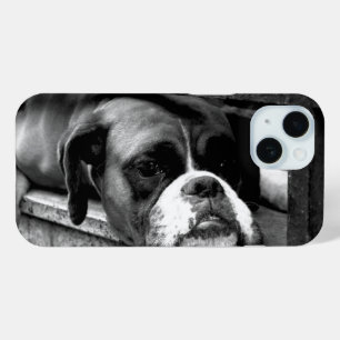 Boxer Dog On Windowsill ipha iPhone 15 Case