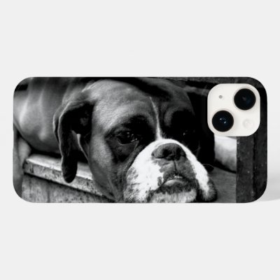 Boxer Dog On Windowsill iphcnm Case-Mate iPhone 14 Case