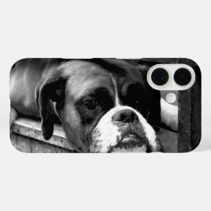 Boxer Dog On Windowsill iphcnm iPhone 16 Case