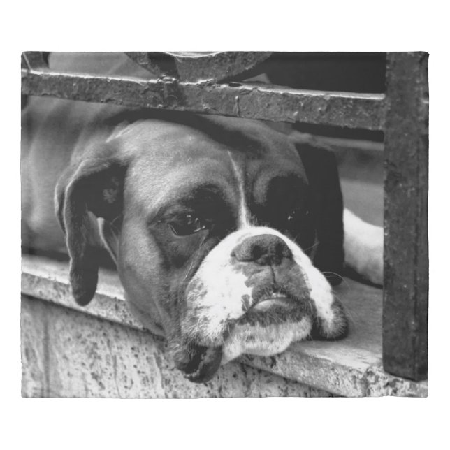 Boxer Dog On Windowsill kca Duvet Cover (Front)