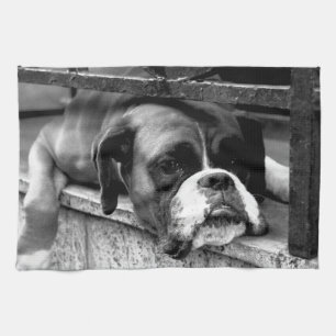 Boxer Dog On Windowsill ktm Kitchen Towel