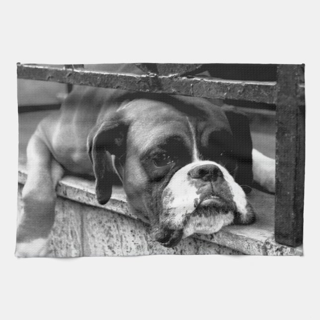 Boxer Dog On Windowsill ktm Kitchen Towel (Horizontal)