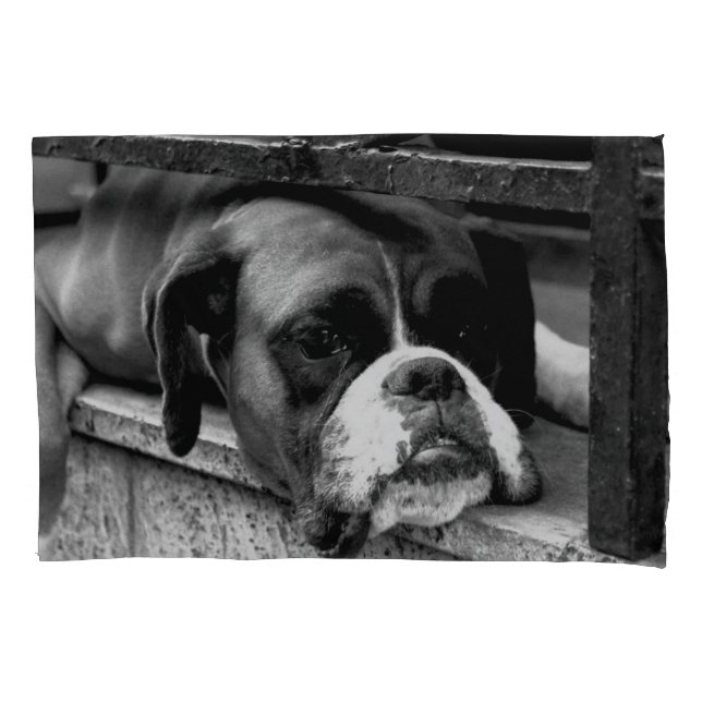 Boxer Dog On Windowsill pccna Pillow Case (Front)