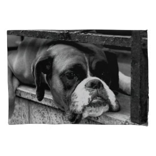 Boxer Dog On Windowsill pccnm Pillow Case