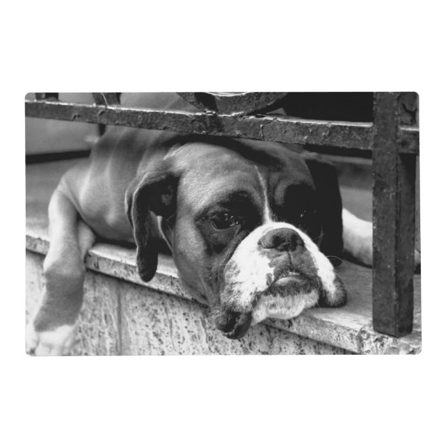Boxer Dog On Windowsill pma Placemat (Front)