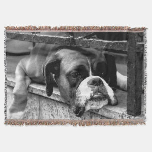 Boxer Dog On Windowsill tbcnm Throw Blanket