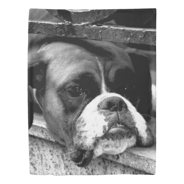 Boxer Dog On Windowsill tccna Duvet Cover (Front)