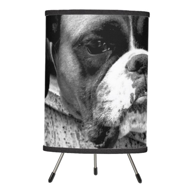 Boxer Dog On Windowsill tlcna Tripod Lamp (Front)