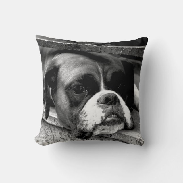 Boxer Dog On Windowsill tpcnm Throw Pillow (Front)