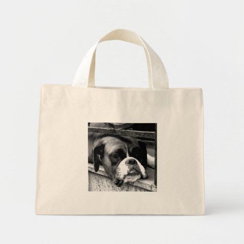 Boxer Dog On Windowsill ttcna Mini Tote Bag