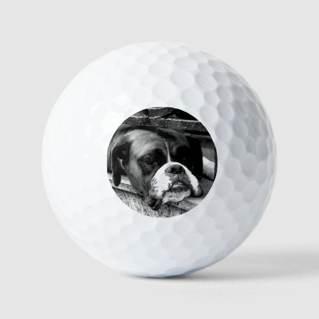 Boxer Dog On Windowsill va gbcnm Golf Balls (Front)