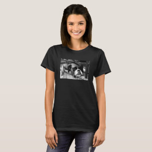 Boxer Dog On Windowsill wccna T-Shirt