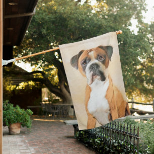 Boxer Dog Painting Uncropped Original Animal Art House Flag