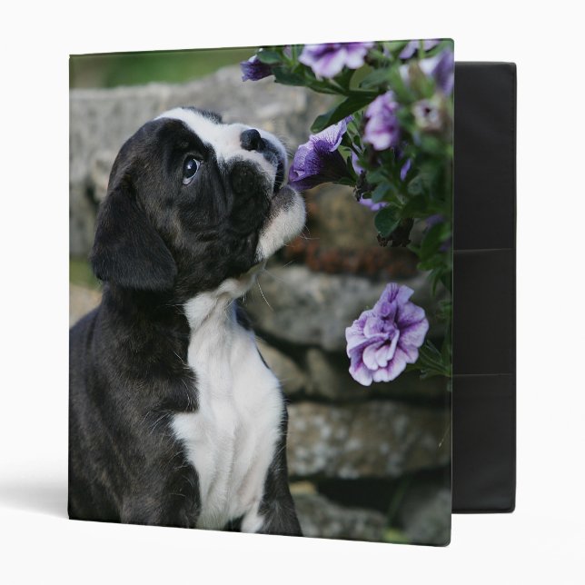Boxer Dog Panting 3 Ring Binder (Front/Inside)