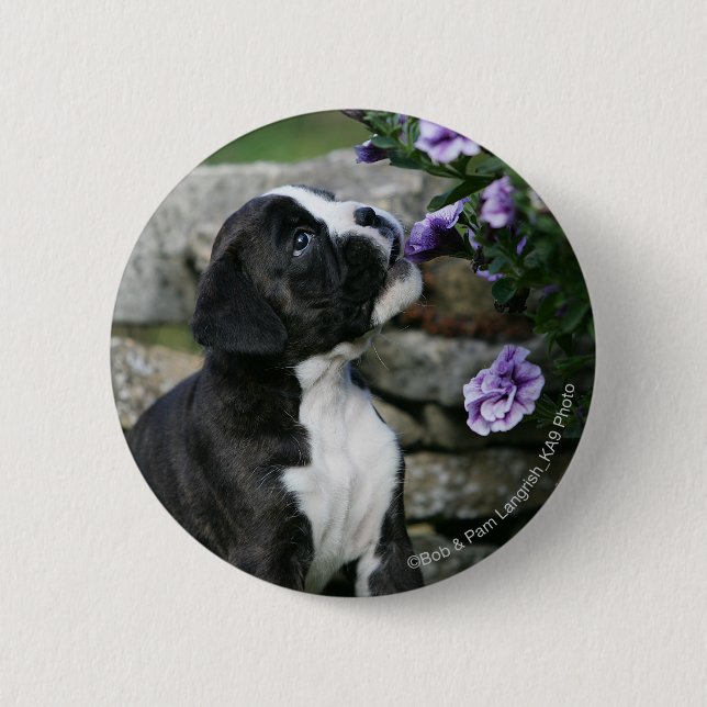 Boxer Dog Panting Button (Front)