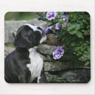 Boxer Dog Panting Mouse Pad