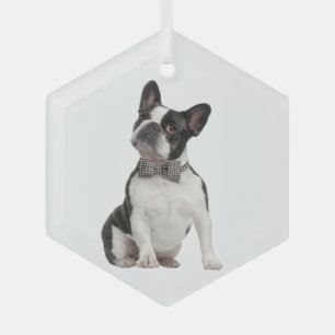Boxer Dog Pet Animal Glass Ornament