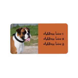 Boxer Dog Photo Address Label
