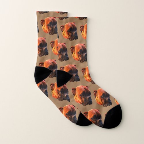 Boxer Dog Photo Brown Mens Custom Socks