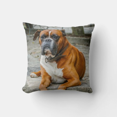 Boxer  Dog Photo Decorator Pillow