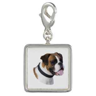 Boxer dog portrait photo charm