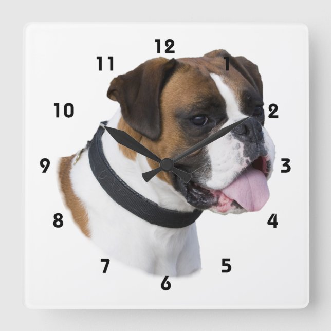 Boxer dog portrait photo square wall clock (Front)