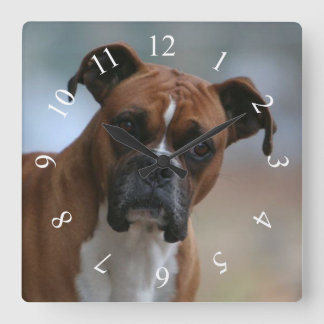 Boxer dog Portrait Square Wall Clock