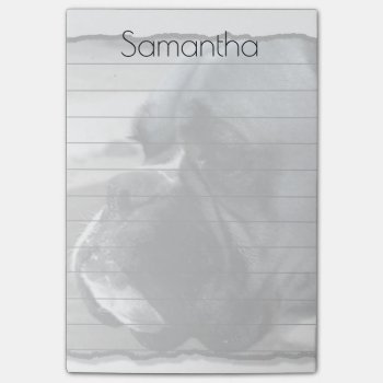 Boxer Dog Post It Notes Pad by ritmoboxer at Zazzle