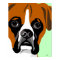 Boxer Dog Posters
