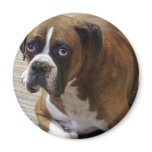 Boxer Dog Round Magnet