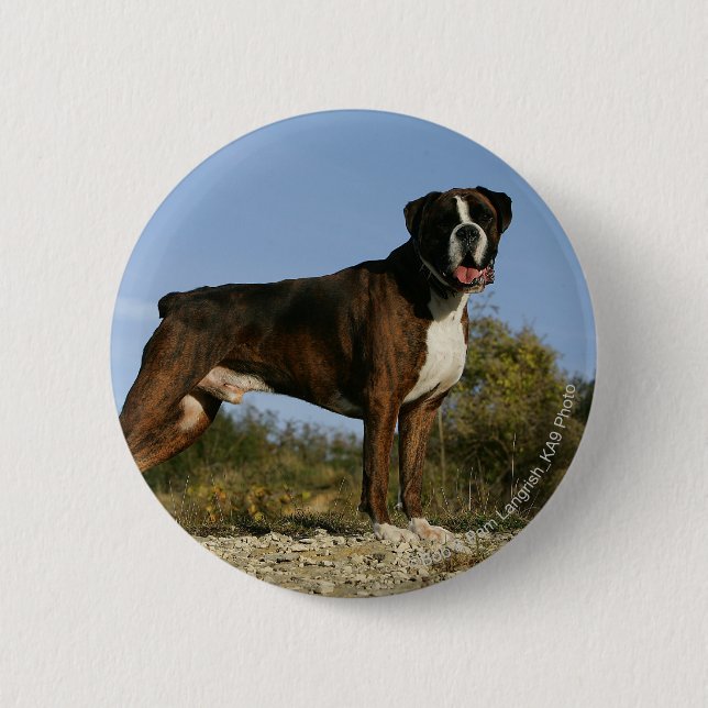 Boxer Dog Show Stance Button (Front)