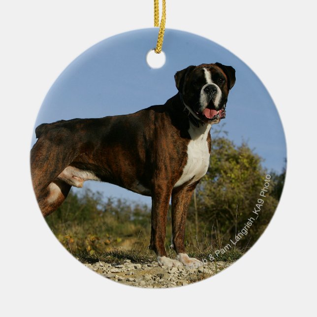 Boxer Dog Show Stance Ceramic Ornament (Front)