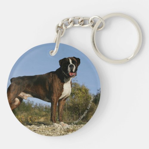 Boxer Dog Show Stance Keychain