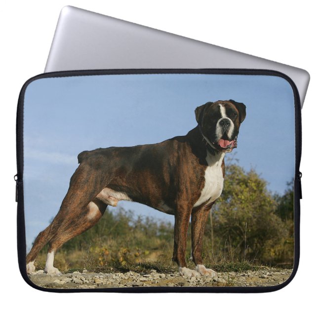 Boxer Dog Show Stance Laptop Sleeve (Front)