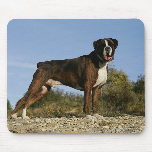 Boxer Dog Show Stance Mouse Pad (Front)