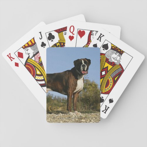 Boxer Dog Show Stance Poker Cards