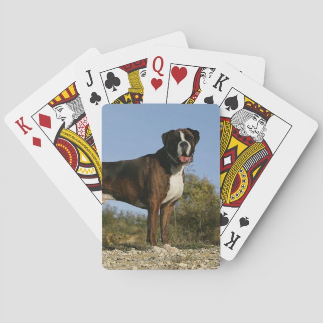 Boxer Dog Show Stance Poker Cards (Back)