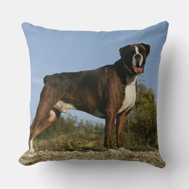 Boxer Dog Show Stance Throw Pillow (Front)