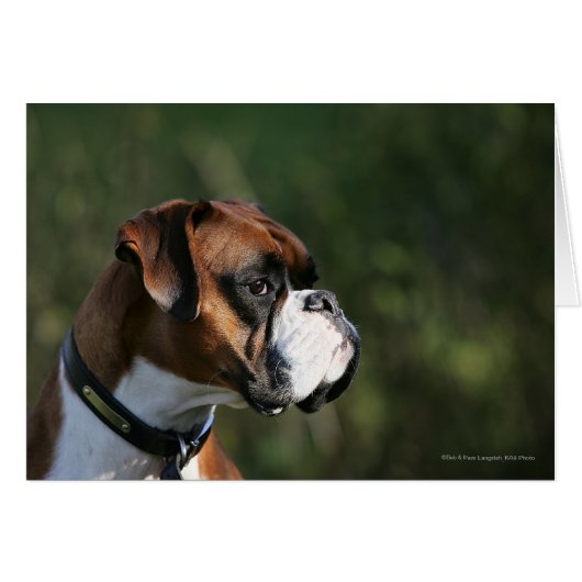 Boxer Dog Side Profile Cards (Front Horizontal)