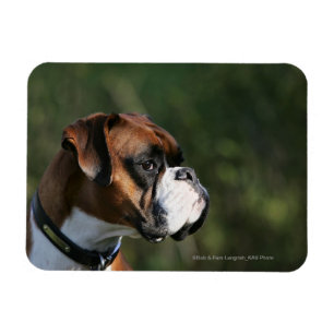 Boxer Dog Side Profile Magnet