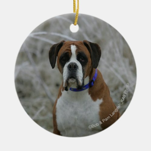 Boxer Dog Sitting in the Frost Ceramic Ornament