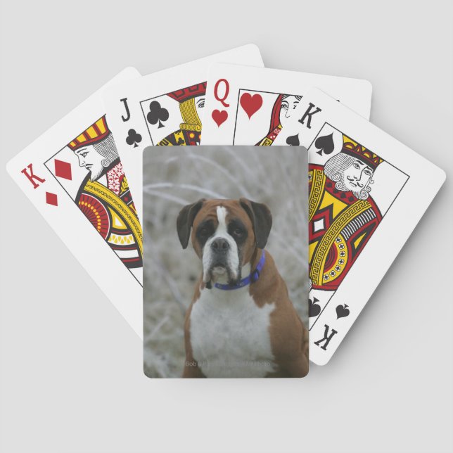 Boxer Dog Sitting in the Frost Poker Cards (Back)