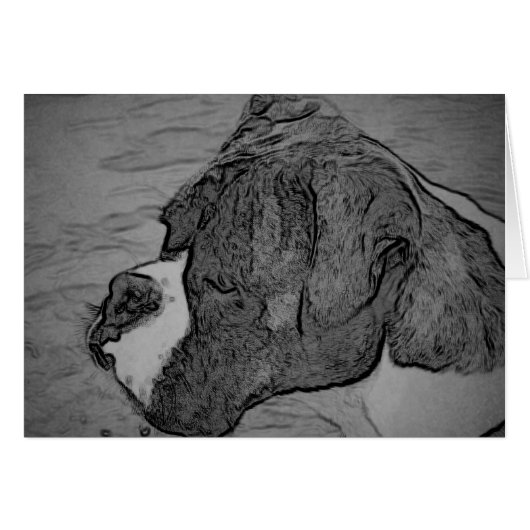 Boxer Dog Sketch Cards (Front Horizontal)