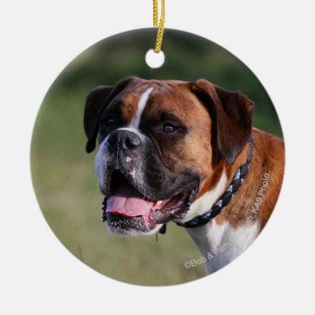 White Boxer Christmas Ornaments Zazzle 100 Satisfaction Guaranteed!
