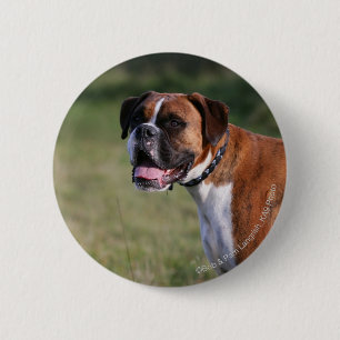 Boxer Dog Standing Pinback Button