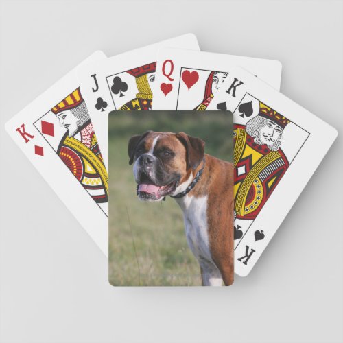 Boxer Dog Standing Playing Cards