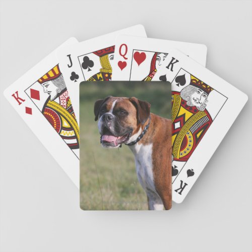 Boxer Dog Standing Poker Cards