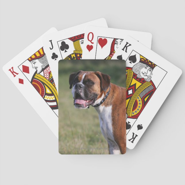 Boxer Dog Standing Poker Cards (Back)