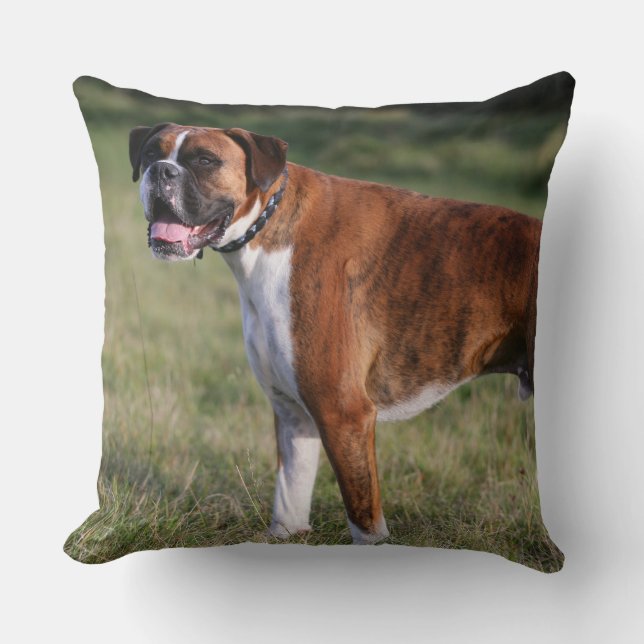 Boxer Dog Standing Throw Pillow (Front)